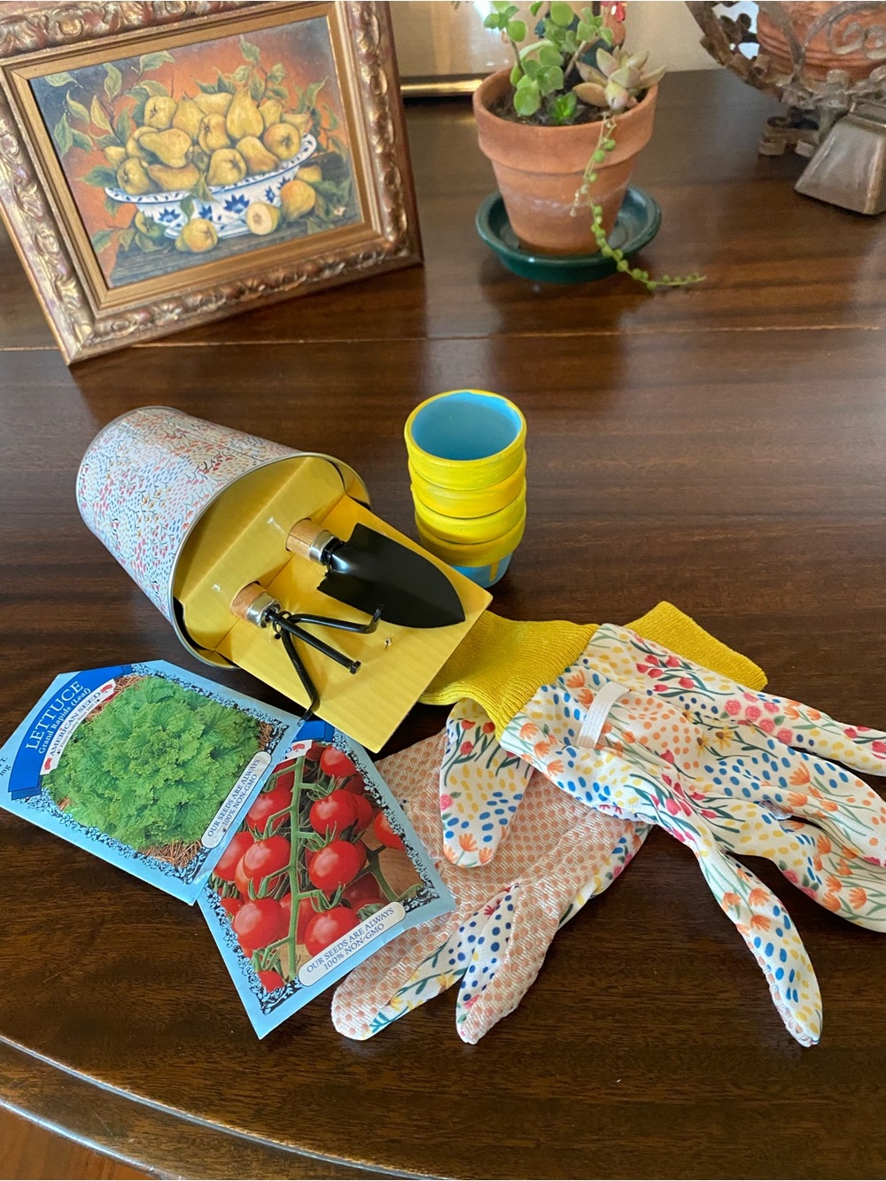 Garden 🪴 bundle